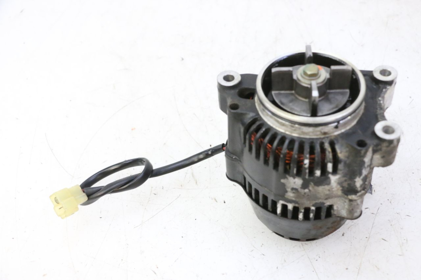photo de ALTERNADOR TRIUMPH SPRINT 900 (1995 - 1998)