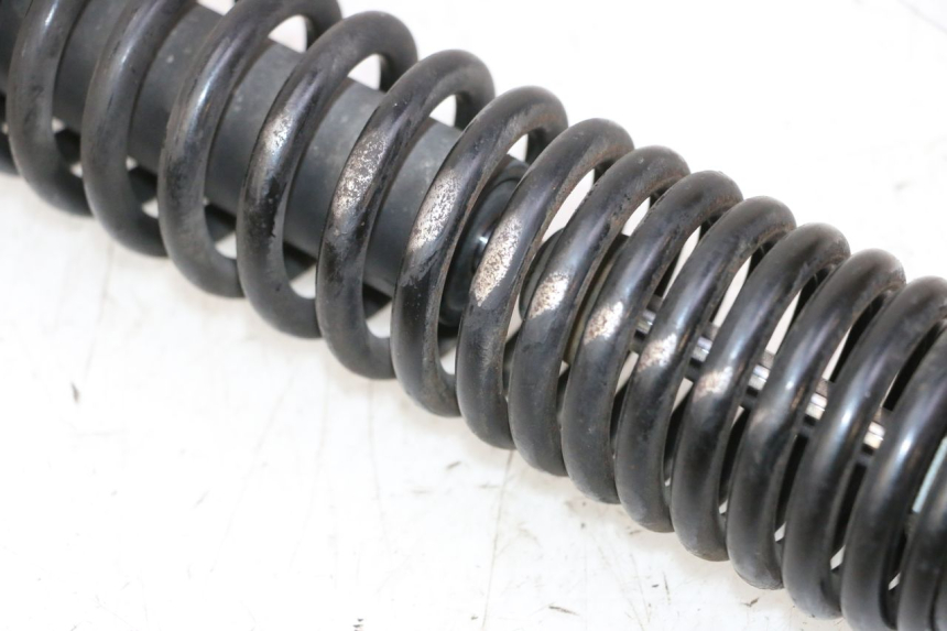 photo de AMORTIGUADOR TRASERO PEUGEOT TWEET PRO CARGO 50 (2018 - 2020)