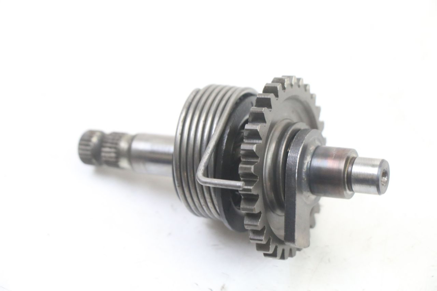 photo de EJE PEDAL ARRANQUE DERBI SENDA SM DRD X-TREME 50 (2011 - 2017)