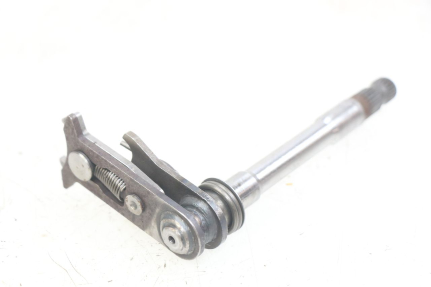 photo de ÁRBOL DE SELECCIÓN GAS-GAS SM ROOKIE 50 (2001 - 2005)