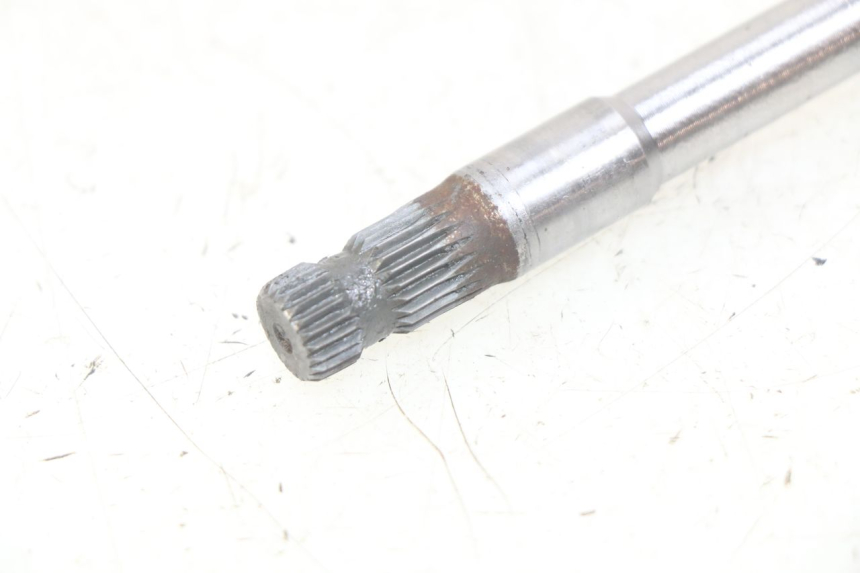 photo de ÁRBOL DE SELECCIÓN GAS-GAS SM ROOKIE 50 (2001 - 2005)