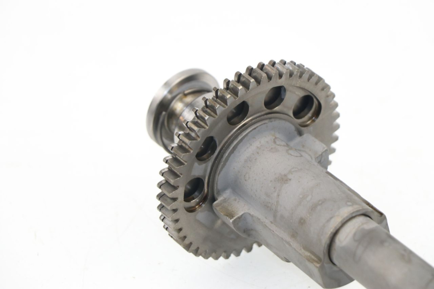 photo de SOPORTE MOTOR TRIUMPH SPRINT RS 955 (2000 - 2001)