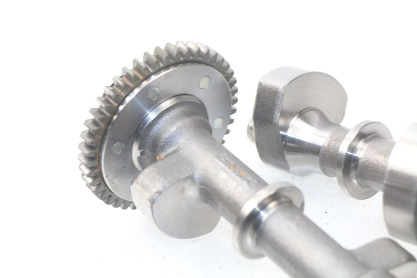 photo de SOPORTE MOTOR YAMAHA TDM ABS 900 (2002 - 2014)