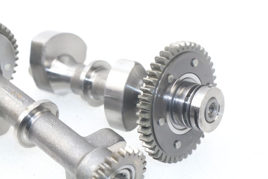 photo de SOPORTE MOTOR YAMAHA TDM ABS 900 (2002 - 2014)