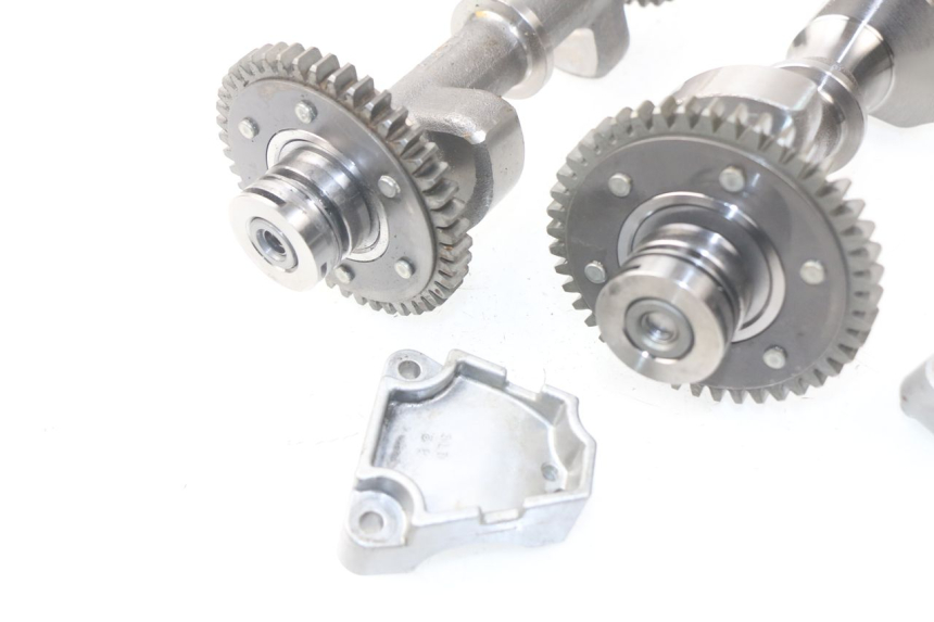 photo de SOPORTE MOTOR YAMAHA TDM ABS 900 (2002 - 2014)