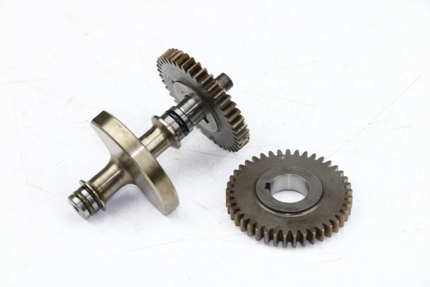 photo de SOPORTE MOTOR YAMAHA WR X 125 (2009 - 2008)