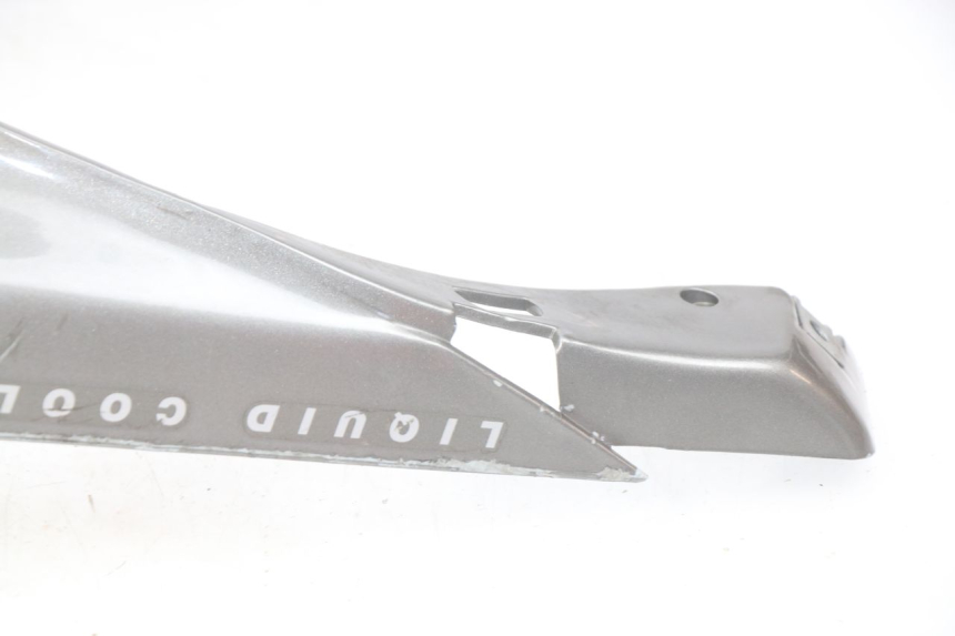 photo de FALDONES APRILIA SR LC 50 (1997 - 2004)