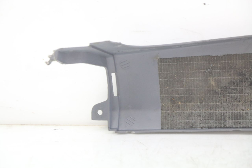 photo de FALDóN LATERAL TRASERO DERECHO HONDA FES PANTHEON 2T 125 (1998 - 2002)