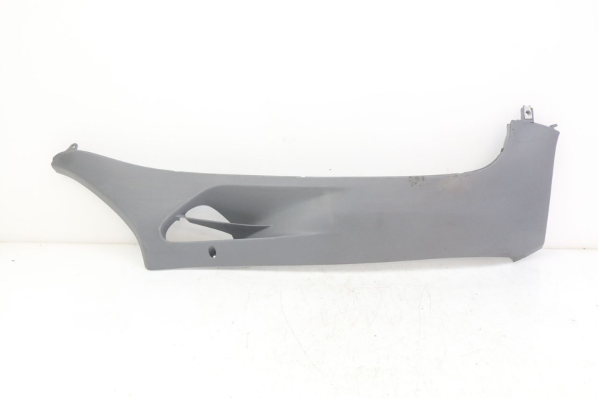 photo de FALDON DERECHO HONDA FES PANTHEON 2T 125 (1998 - 2002)