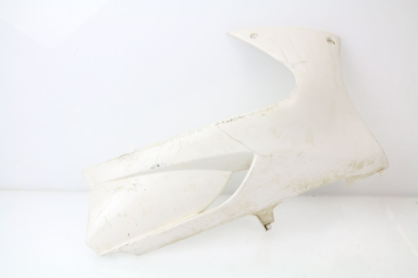 photo de BAJO CARENADO DERECHA PEUGEOT JET FORCE CARBU 50 (2003 - 2016)