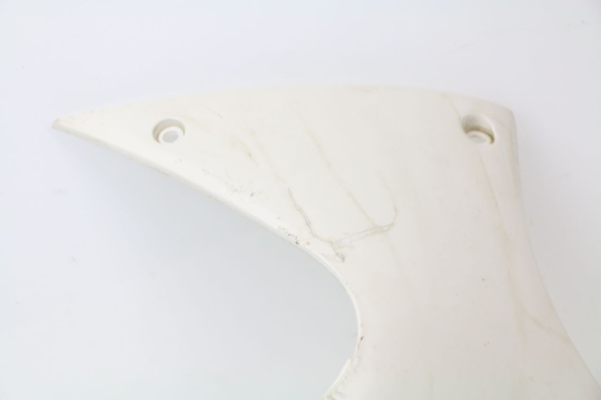 photo de BAJO CARENADO DERECHA PEUGEOT JET FORCE CARBU 50 (2003 - 2016)