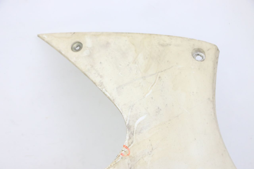 photo de BAJO CARENADO DERECHA PEUGEOT JET FORCE CARBU 50 (2003 - 2016)