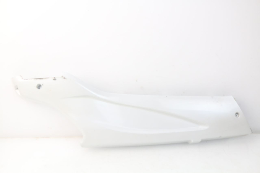 photo de FALDóN LATERAL DERECHO DAELIM S3 125 (2010 - 2017)