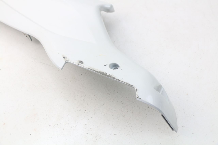 photo de FALDóN LATERAL DERECHO DAELIM S3 125 (2010 - 2017)