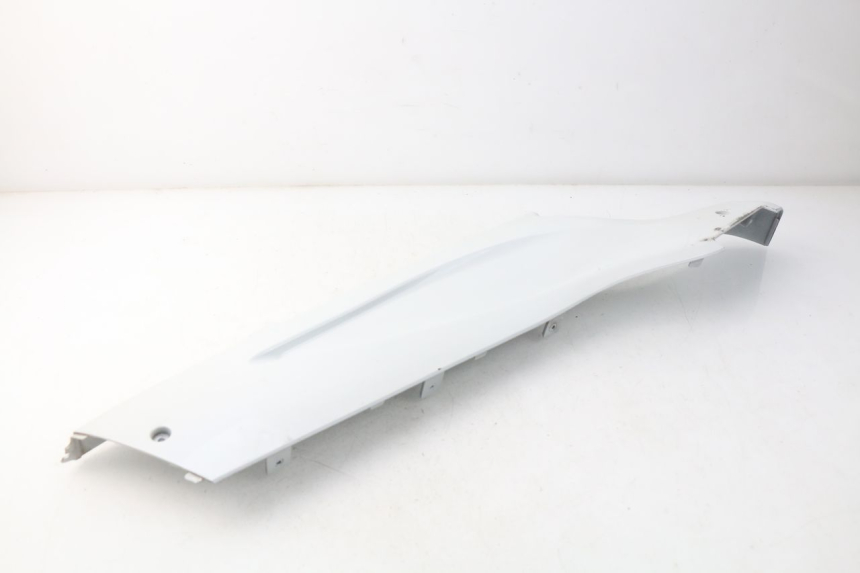 photo de FALDóN LATERAL DERECHO DAELIM S3 125 (2010 - 2017)