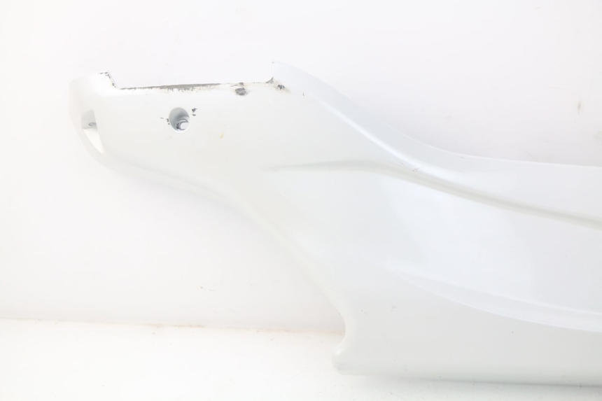 photo de FALDóN LATERAL DERECHO DAELIM S3 125 (2010 - 2017)