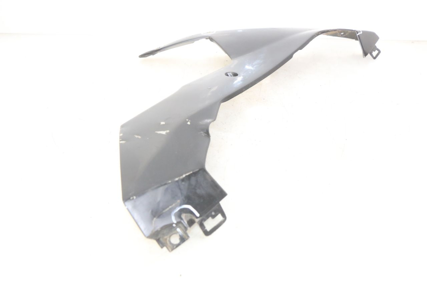 photo de FALDóN DERECHO YAMAHA YZF R1 1000 (2007 - 2008)