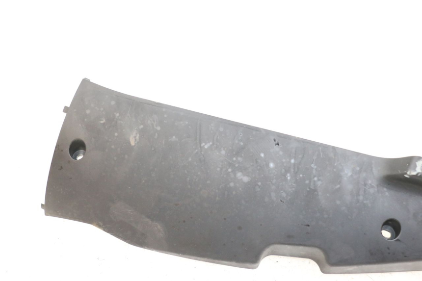 photo de FALDÓN IZQUIERDO DAELIM A-FOUR 2T 50 (2005 - 2012)