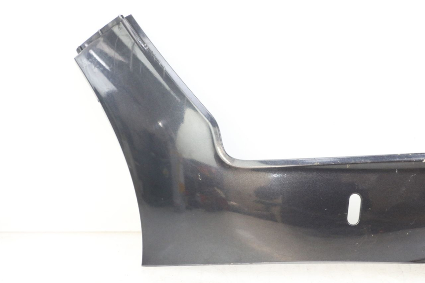 photo de FALDÓN IZQUIERDO KYMCO XCITING 250 (2006 - 2009)