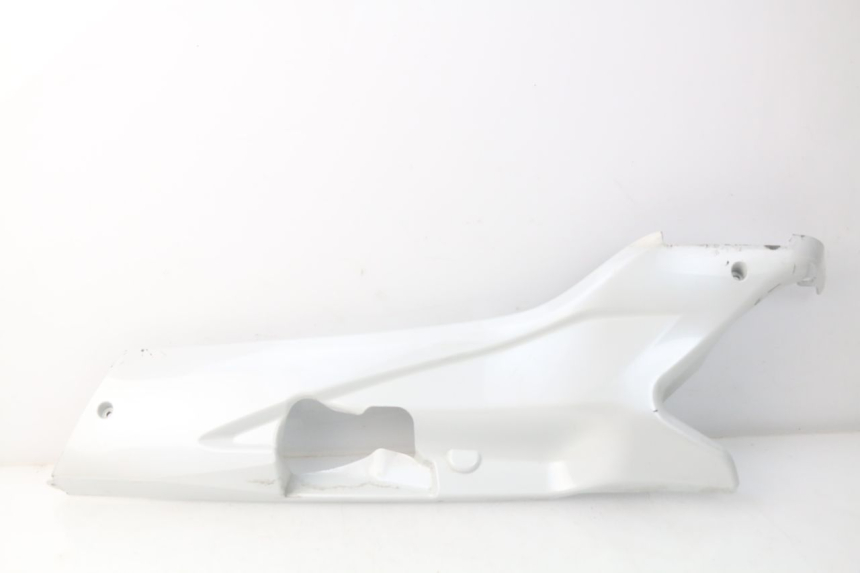 photo de FALDóN IZQUIERDO DAELIM S3 125 (2010 - 2017)