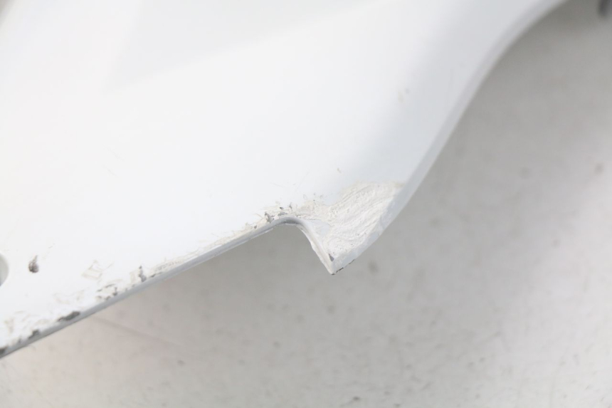 photo de FALDóN IZQUIERDO DAELIM S3 125 (2010 - 2017)