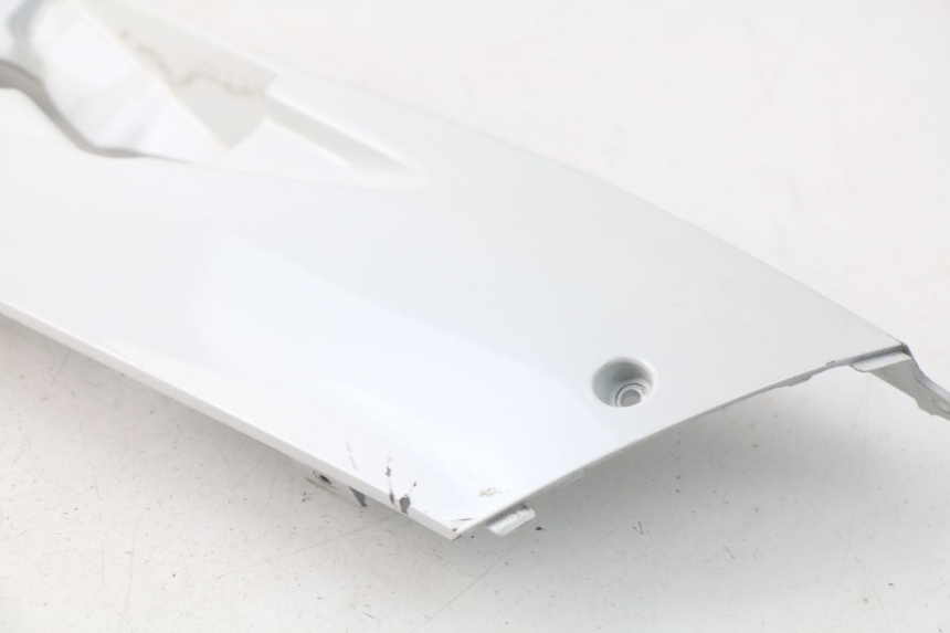 photo de FALDóN IZQUIERDO DAELIM S3 125 (2010 - 2017)