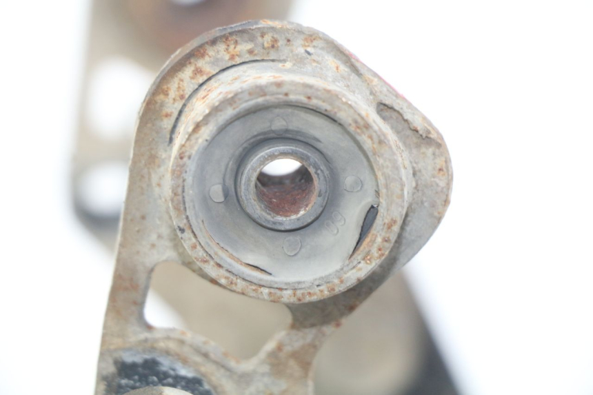 photo de PATA CENTRAL. YAMAHA FJR ABS 1300 (2006 - 2012)