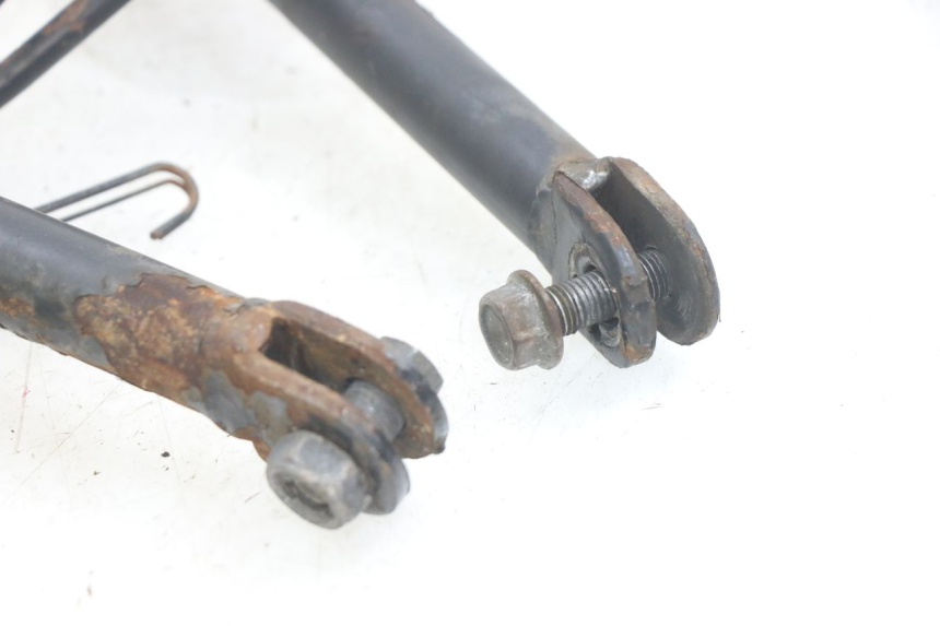 photo de PATA DE CABRA TNT MOTOR FASTINO 4T 50 (2013 - 2019)