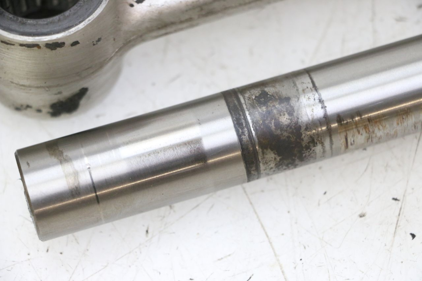 photo de BIELETA SUSPENSION TRIUMPH SPRINT 900 (1995 - 1998)