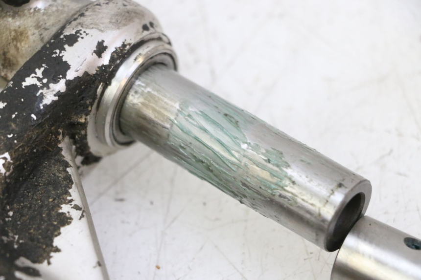 photo de BIELETA SUSPENSION TRIUMPH SPRINT 900 (1995 - 1998)