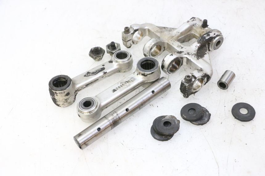 photo de BIELETA SUSPENSION TRIUMPH SPRINT 900 (1995 - 1998)