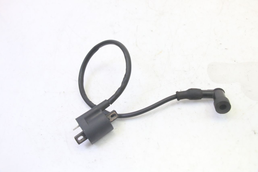 photo de BOBINA STAHO FH 50 (2018 - 2019)