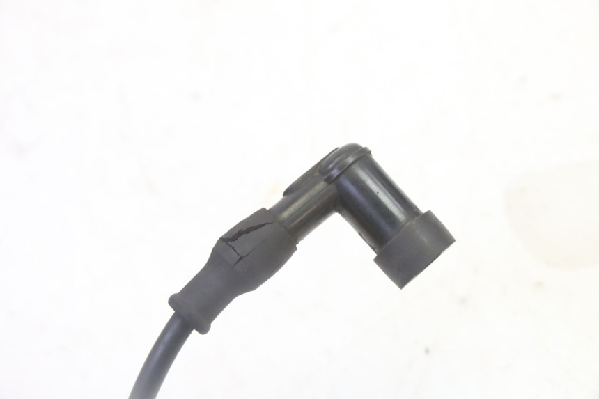 photo de BOBINA STAHO FH 50 (2018 - 2019)