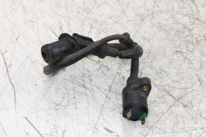 photo de BOBINA LINTEX HT50QT-36 VERONA 50 (2012 - 2017)