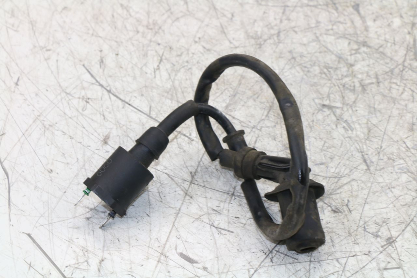 photo de BOBINA LINTEX HT50QT-36 VERONA 50 (2012 - 2017)