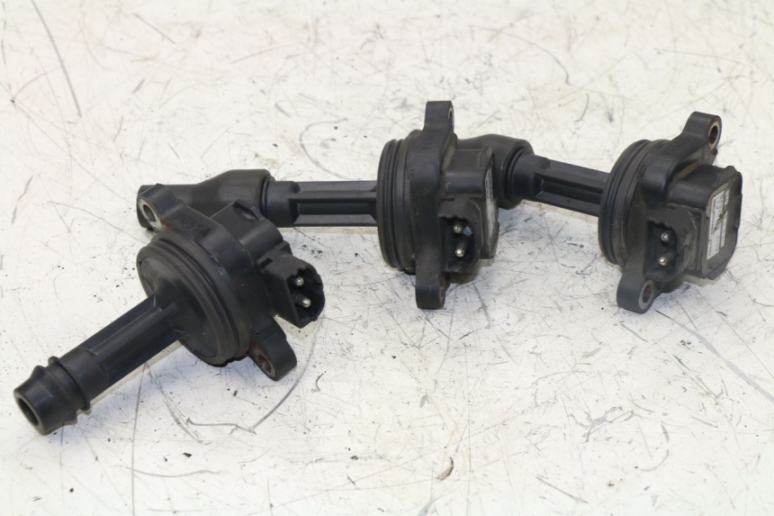 photo de BOBINA TRIUMPH TIGER 955 (2001 - 2004)