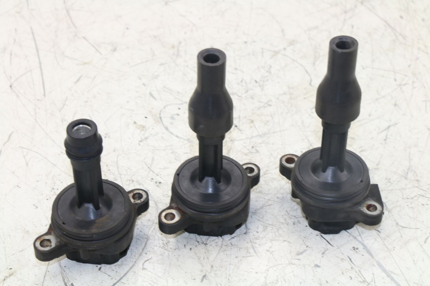 photo de BOBINA TRIUMPH TIGER 955 (2001 - 2004)