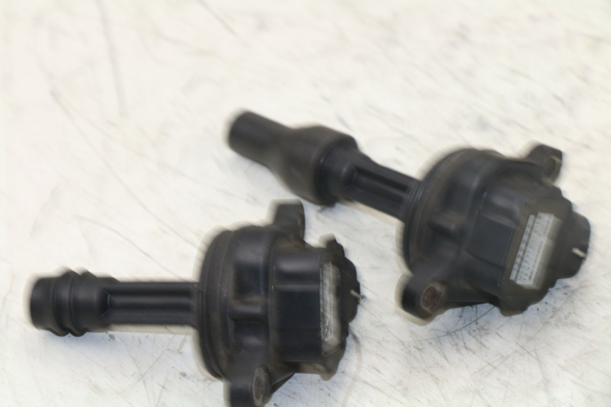 photo de BOBINA TRIUMPH TIGER 955 (2001 - 2004)