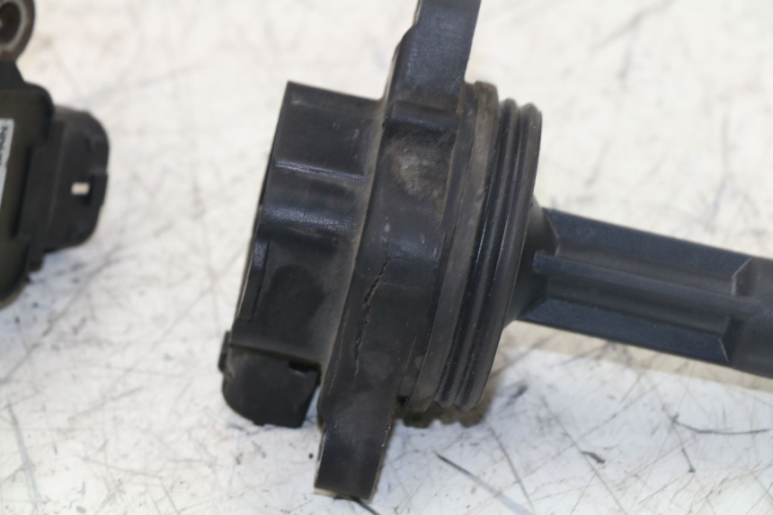 photo de BOBINA TRIUMPH TIGER 955 (2001 - 2004)