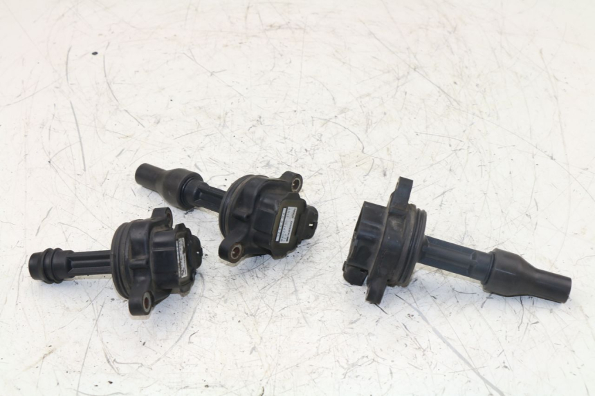 photo de BOBINA TRIUMPH TIGER 955 (2001 - 2004)