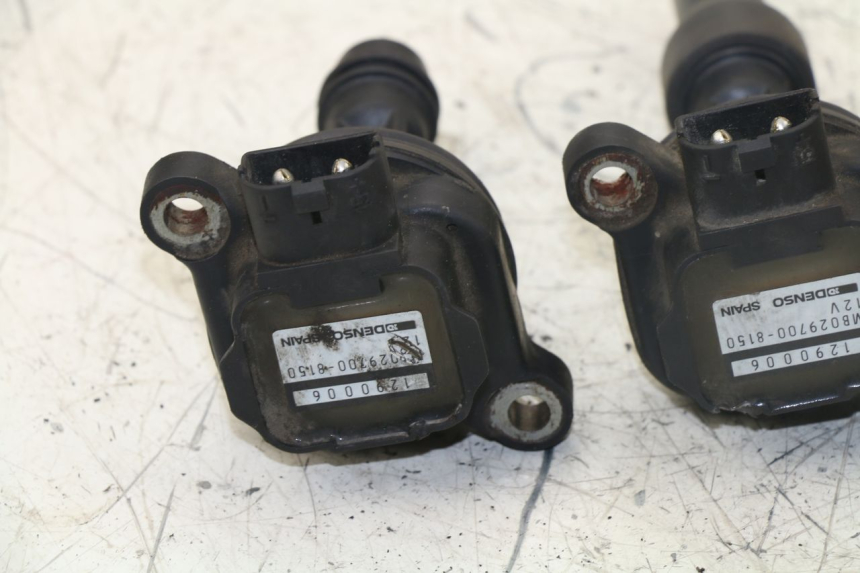 photo de BOBINA TRIUMPH TIGER 955 (2001 - 2004)