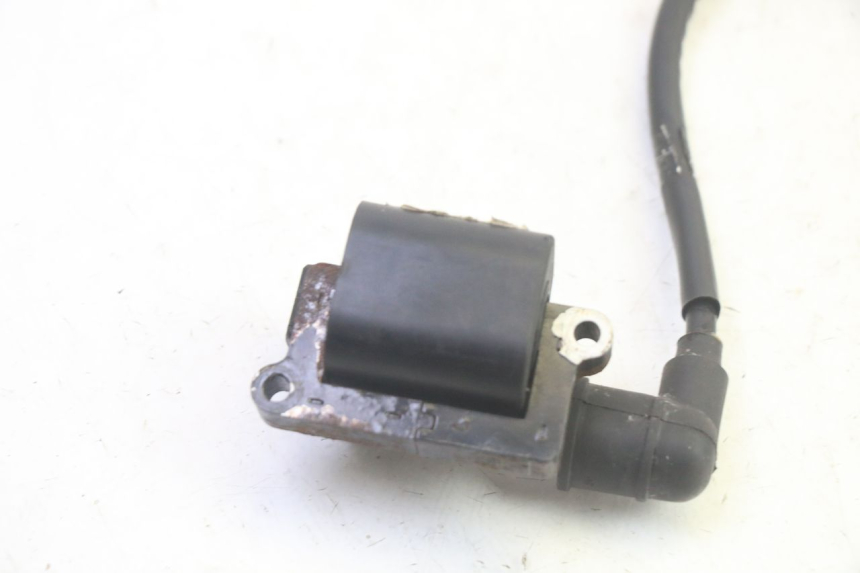 photo de BOBINA DAELIM VJ ROADWIN FI 125 (2008 - 2017) - Detalle de la pieza