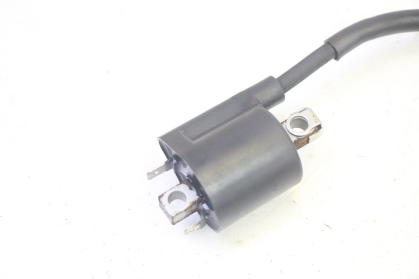 photo de BOBINA YAMAHA XMAX X-MAX 125 (2006 - 2009) - Detalle de la pieza