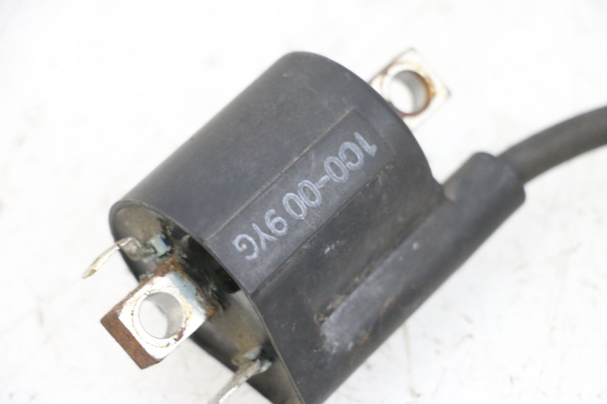 photo de BOBINA YAMAHA X-MAX XMAX 125 (2010 - 2013) - Zoom estado de uso