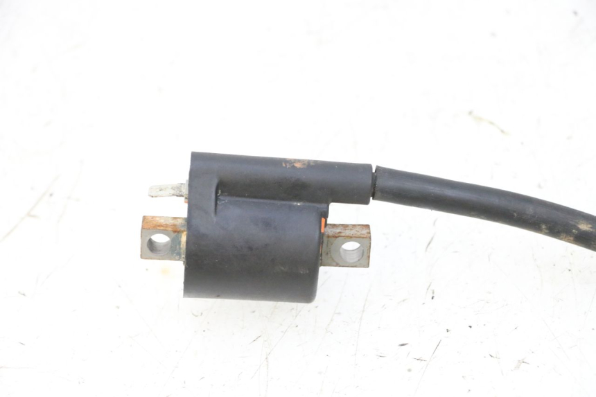 photo de BOBINA YAMAHA YFM R RAPTOR 250 (2008 - 2014) - Otra perspectiva