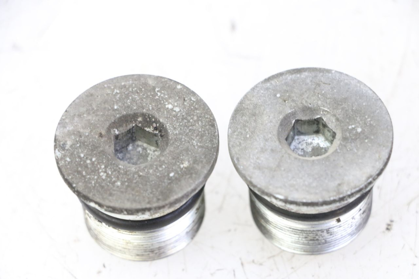 photo de TAPA HORQUILLA PIAGGIO X9 EVOLUTION 125 (2003 - 2007)