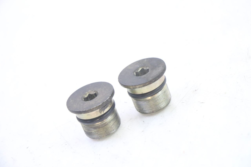 photo de TAPA HORQUILLA PIAGGIO X9 EVOLUTION 125 (2003 - 2007)