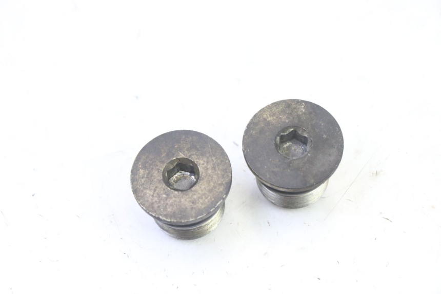 photo de TAPA HORQUILLA PIAGGIO X9 EVOLUTION 125 (2003 - 2007)