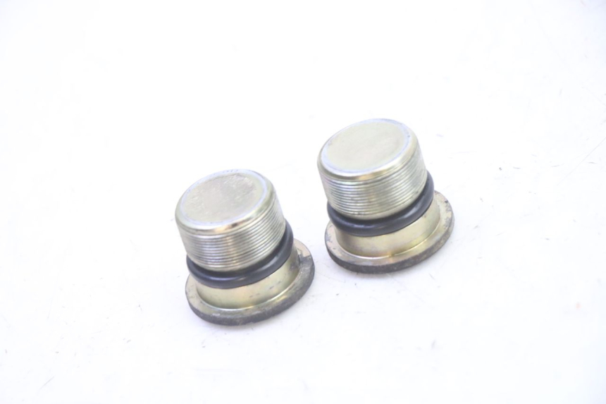 photo de TAPA HORQUILLA PIAGGIO X9 EVOLUTION 125 (2003 - 2007)