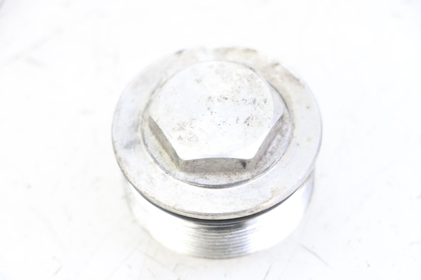 photo de TAPA HORQUILLA YAMAHA FZ6 FAZER S2 600 (2007 - 2011)